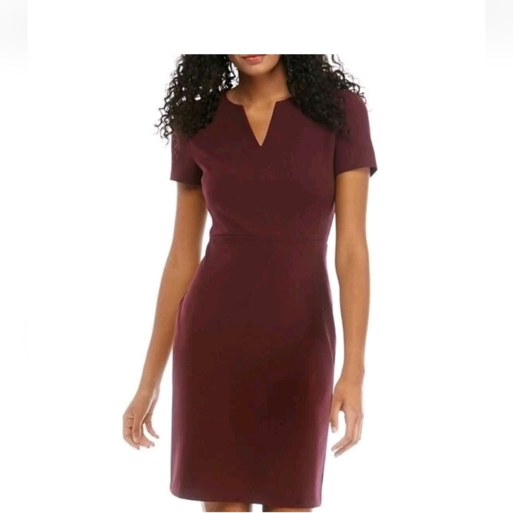The Limited Deep Burgundy Midi Dress